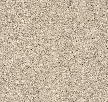 Ковролин AW Vivendi Punch 33 фото 1 | FLOORDEALER